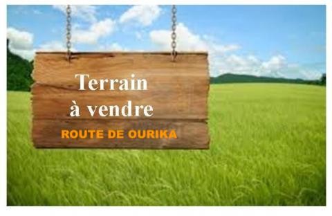 Vente terrain titré de 5ha