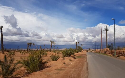 Vente terrain palmeraie Marrakech