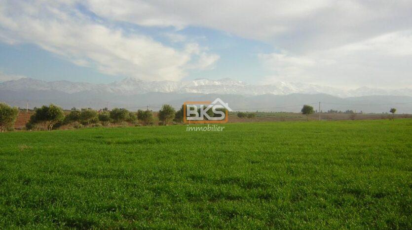 Vente terrain zone SD1